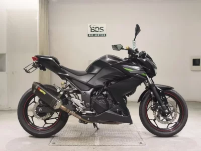 Kawasaki Z250