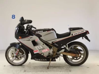 Yamaha FZR250 SHO LOUIS NOT EQUIPPED