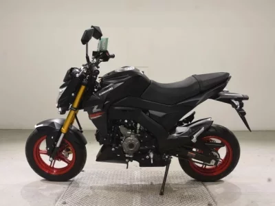 Kawasaki Z125PRO