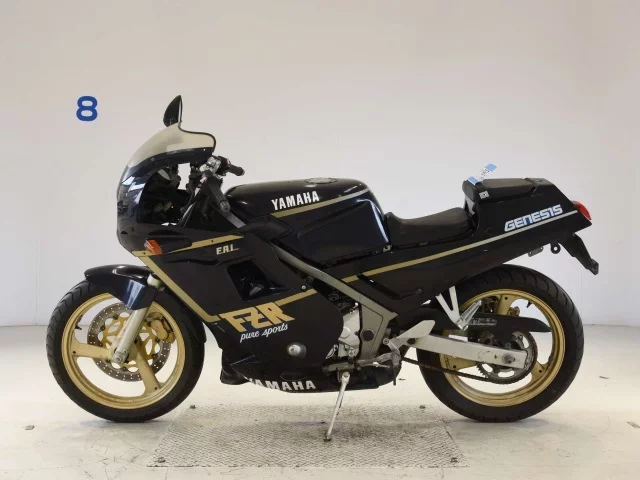 Yamaha FZR250