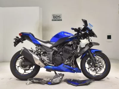 Kawasaki NINJA250ABS