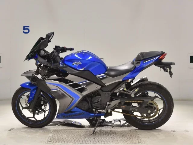 Kawasaki NINJA250ABS