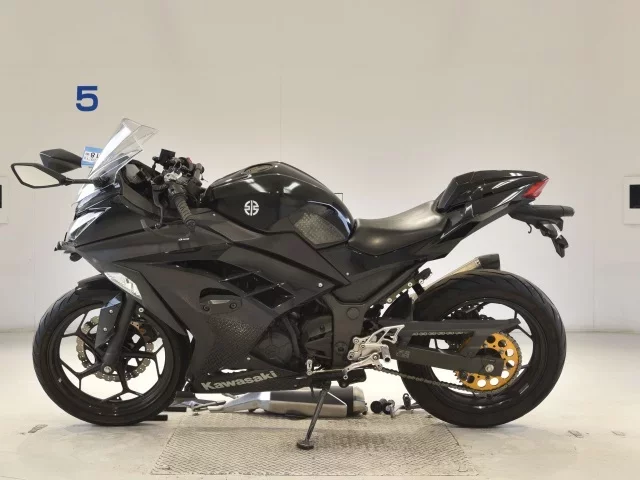 Kawasaki NINJA250