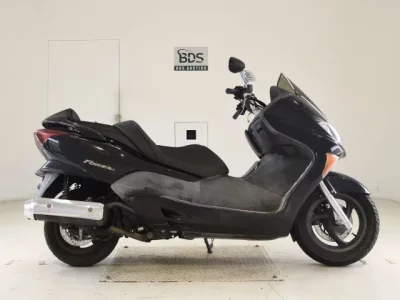 Honda FORZA Z