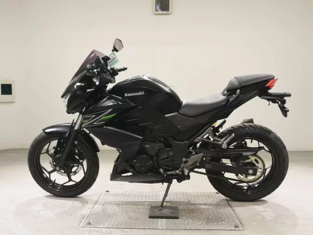 Kawasaki Z250