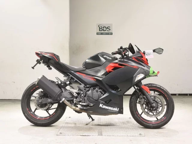 Kawasaki NINJA250-2