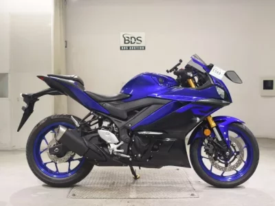 Yamaha YZF-R3 2019