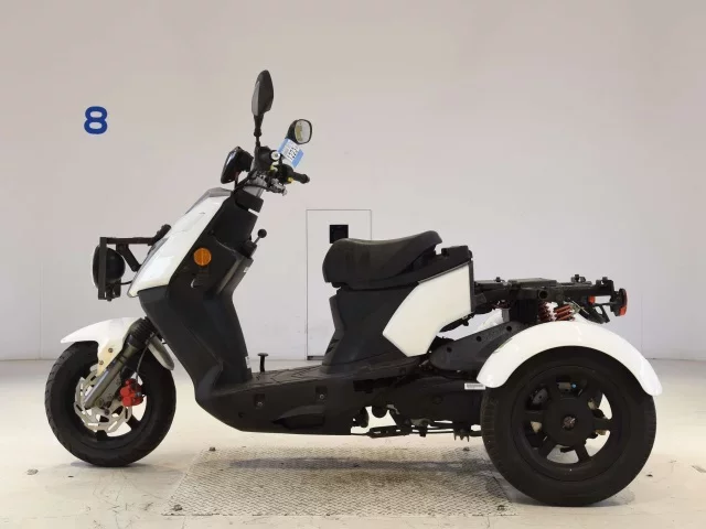 Other PGO I MI-125 WELL BIKE