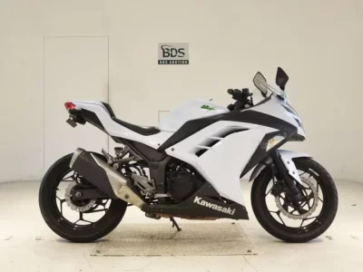 Kawasaki NINJA250