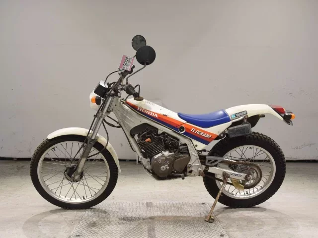 Honda TLR250R SHO LOUIS NOT EQUIPPED