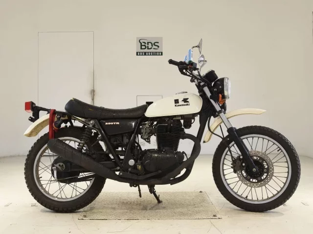 Kawasaki 250TR