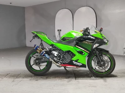 Kawasaki NINJA250 2019