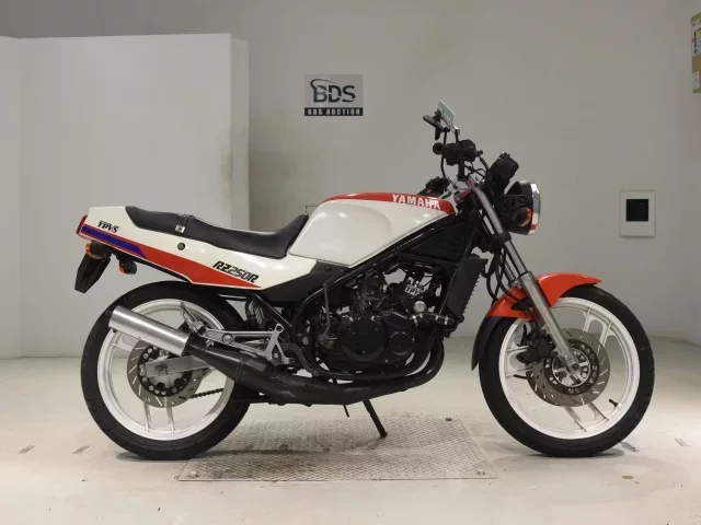 Yamaha RZ250R лот № 3112 оценка 4  с аукциона в Японии