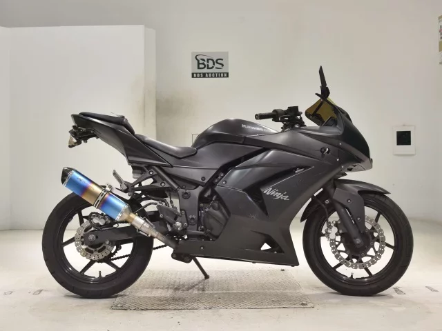 Kawasaki NINJA250R лот № 3099 оценка 4  с аукциона в Японии