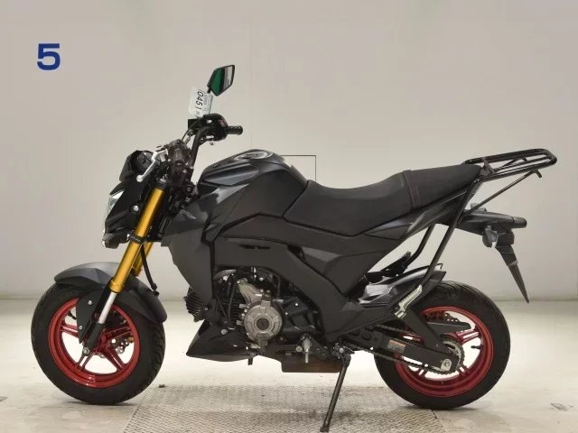 Kawasaki Z125PRO