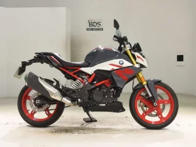 Other BMWG310R 2021