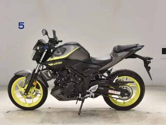 Yamaha MT-25