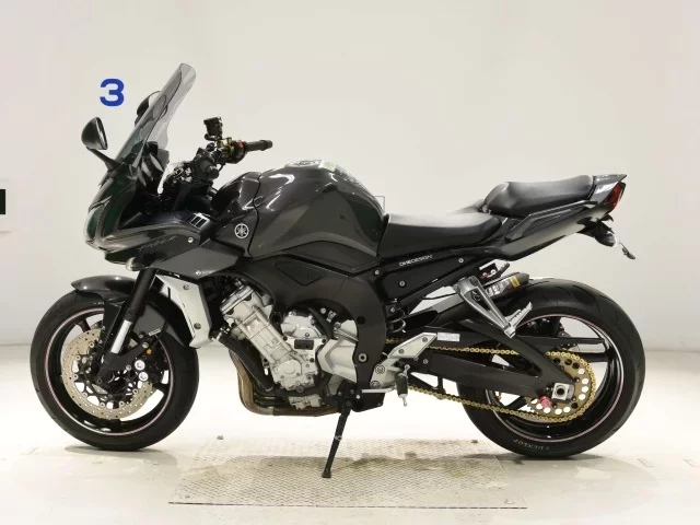 Yamaha FZ-1 FEATHER