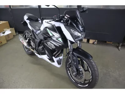 Kawasaki Z250