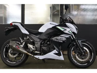 Kawasaki Z250