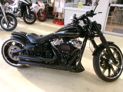 Harley-Davidson HARLEY FXBRS