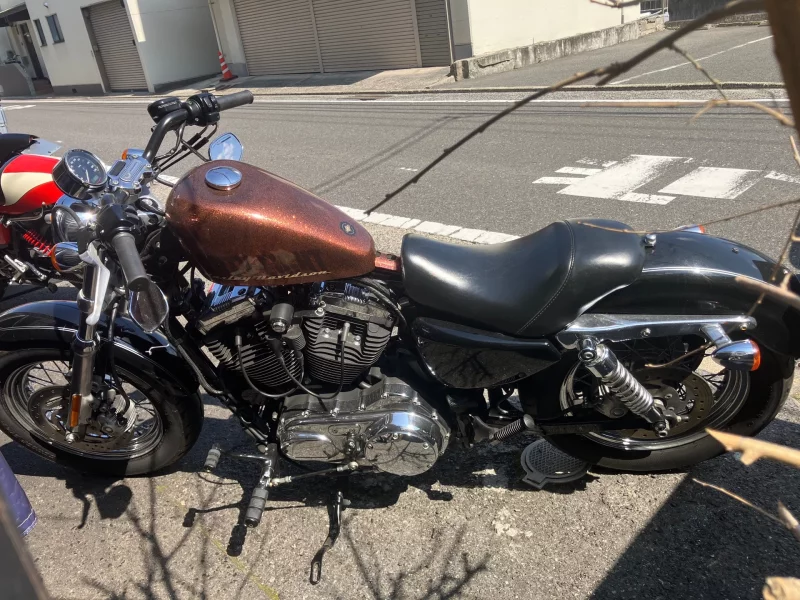 Harley-Davidson HARLEY XL1200C
