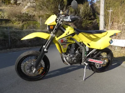 Suzuki 250SB