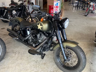 Harley-Davidson HARLEY FLSS