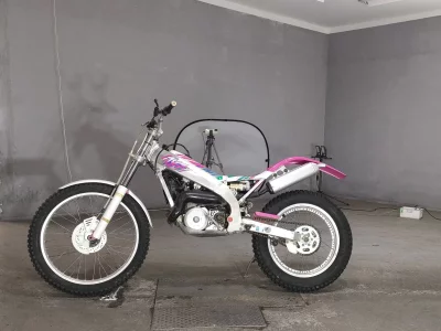 Weituo TY250Z