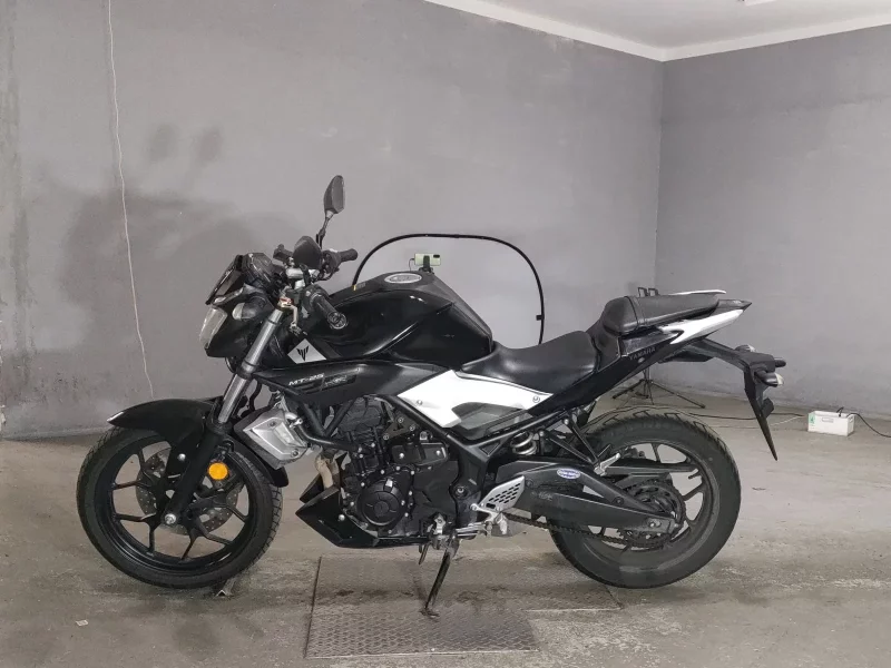 Yamaha MT-25