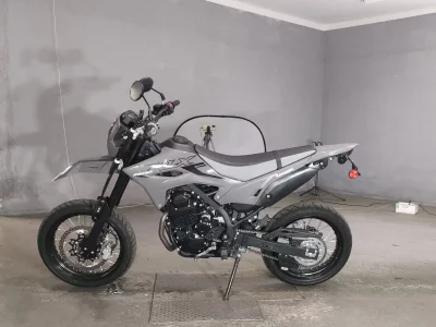 Kawasaki KLX230SM