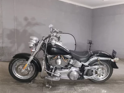 Harley-Davidson HARLEY FLSTF1580