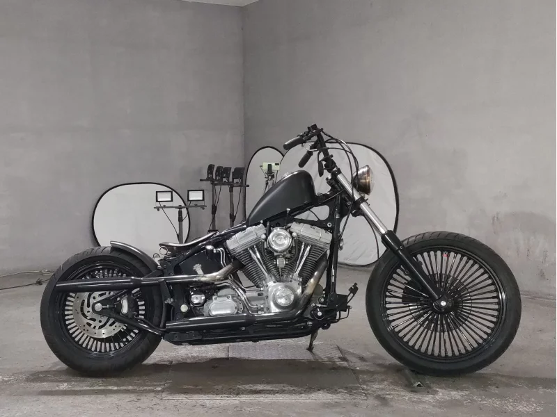 Harley-Davidson HARLEY FLST1450