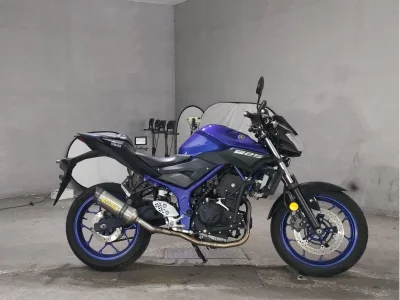 Yamaha MT-25