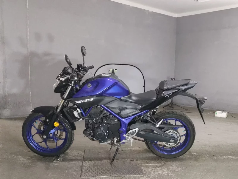 Yamaha MT-25