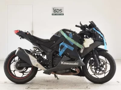 Kawasaki NINJA250