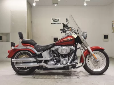 Harley-Davidson HARLEY FLSTF1580