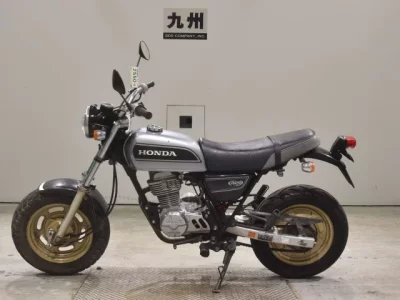 Honda APE100