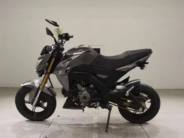 Kawasaki Z125PRO