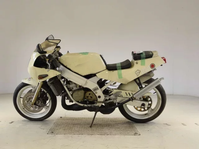 Suzuki RGV250
