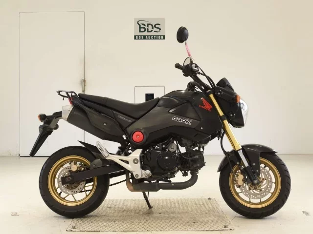 Honda GU ROM