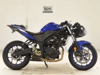 Yamaha YZF-R25