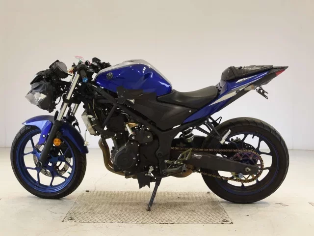 Yamaha YZF-R25