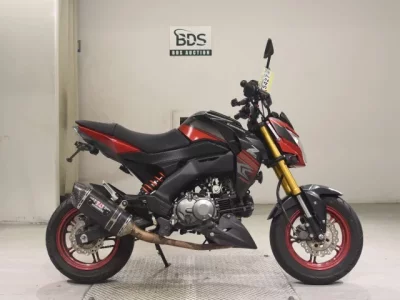 Kawasaki Z125PRO