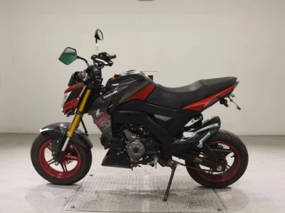 Kawasaki Z125PRO