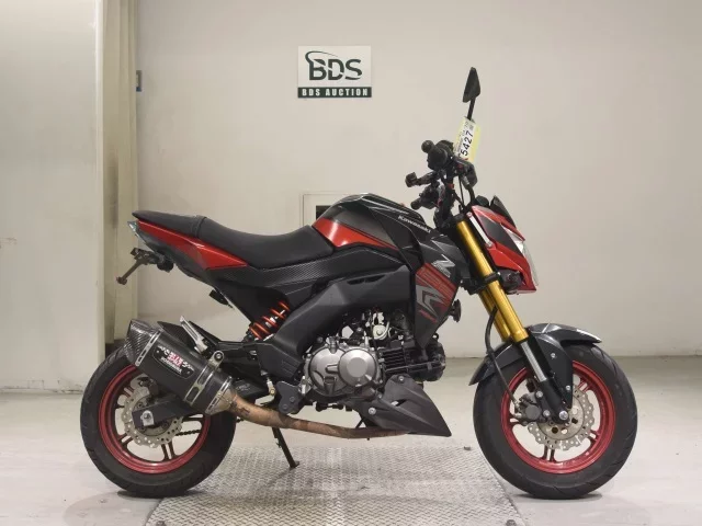 Kawasaki Z125PRO