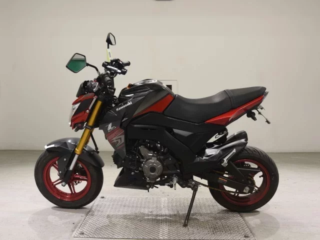 Kawasaki Z125PRO