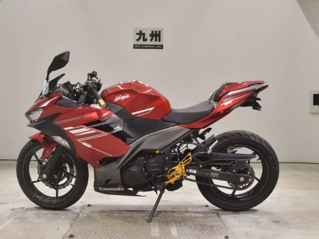 Kawasaki NINJA250-2