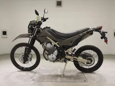 Kawasaki KLX230 SHERPA