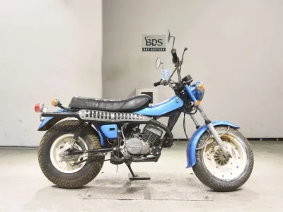 Suzuki RV125